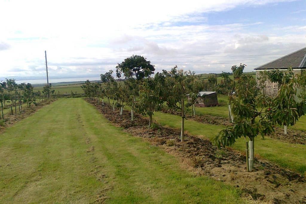 Knightsward Farm Near St Andrews, Scotland Villa Anstruther Exteriör bild