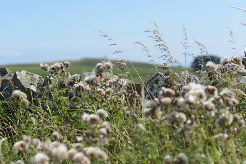 Knightsward Farm Near St Andrews, Scotland Villa Anstruther Exteriör bild